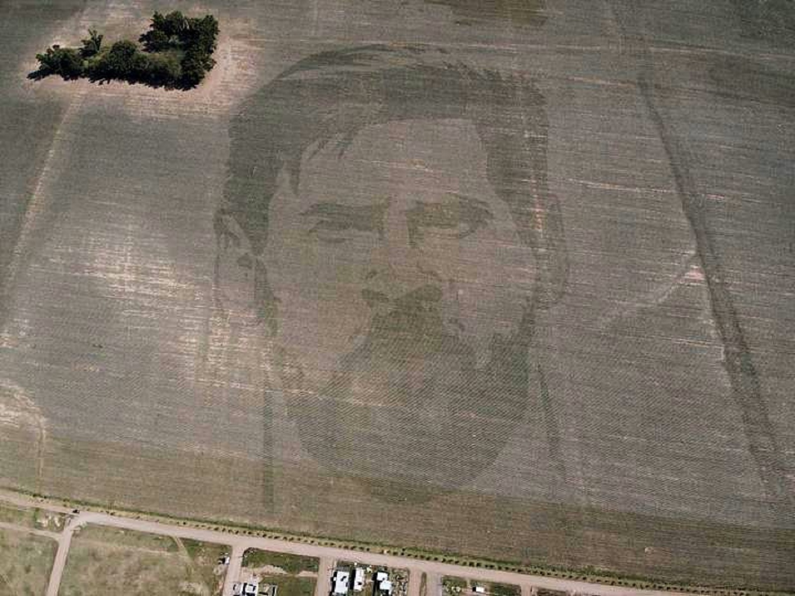 “Siembran” cara de Messi en campos de maíz en Argentina