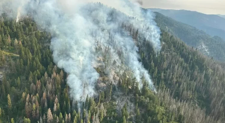 Incendio cerca de Cascada: Avances en contención y condiciones climáticas cambiantes