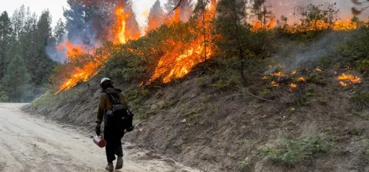 Idaho combate incendios forestales y se prepara para reducción de combustible en medio de temporada activa