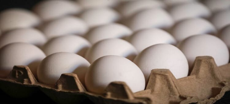 Estados Unidos recurre a Brasil para obtener huevos