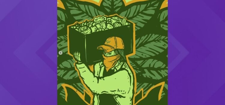 Nuevas bandanas combinan arte y seguridad para ayudar a trabajadores agrícolas de Idaho