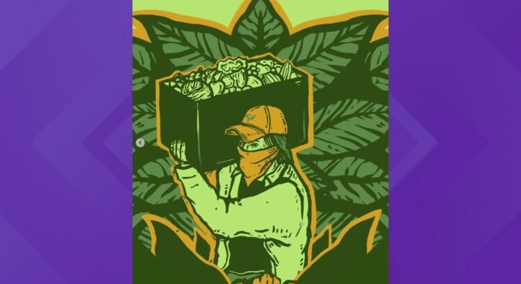 Nuevas bandanas combinan arte y seguridad para ayudar a trabajadores agrícolas de Idaho