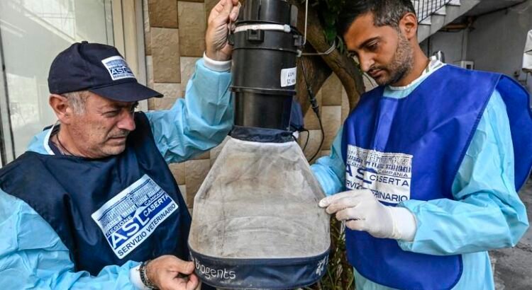 Italia suma cinco nuevas muertes por el virus del Nilo Occidental