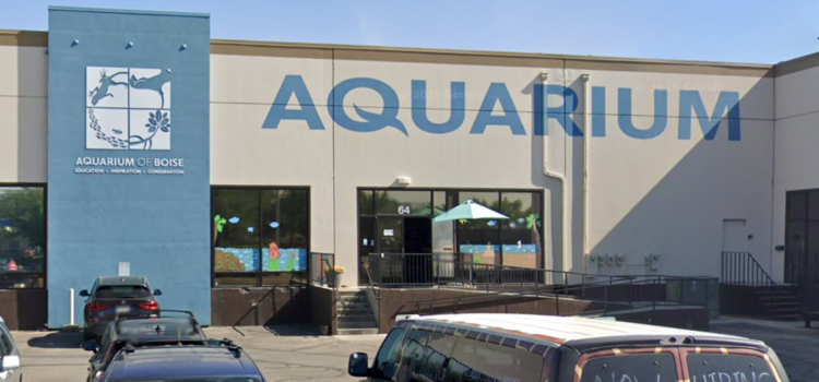 El acuario de Boise busca una importante expansión