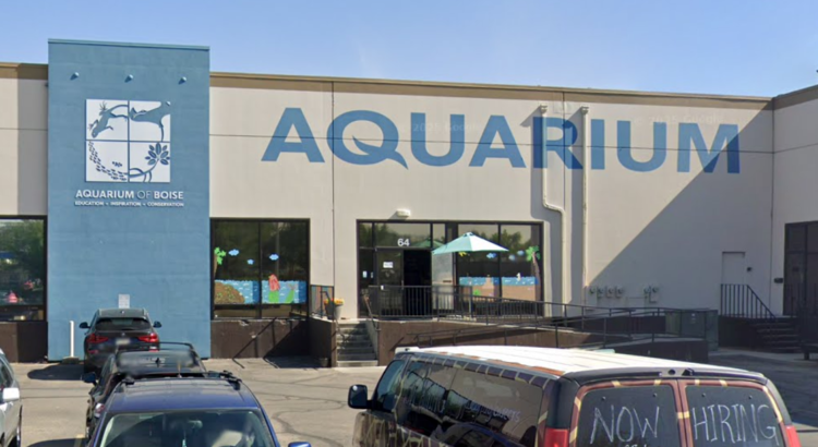 El acuario de Boise busca una importante expansión