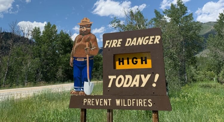 Incendios provocados por humanos generan nuevas restricciones en los bosques del sur de Idaho
