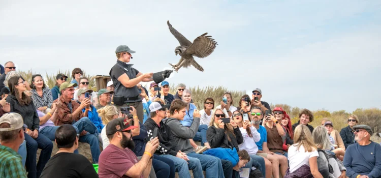 Fall Flights causa una gran impresión en el Centro Mundial de Aves Rapaces