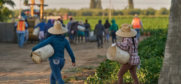 1,2 millones de inmigrantes han dejado la fuerza laboral de EEUU durante el mandato de Trump