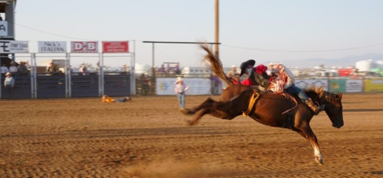 El rodeo Kuna Stampede atrae a una multitud que agota sus entradas