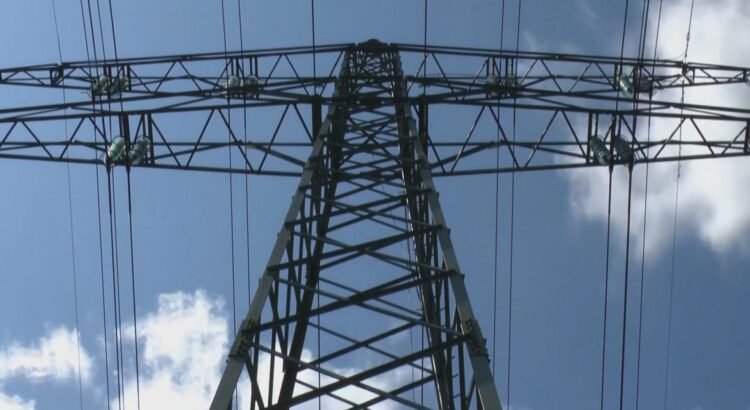 Una ardilla en una subestación provoca un corte de energía en el centro de Boise Una ardilla en una subestación provoca un corte de energía en el centro de Boise