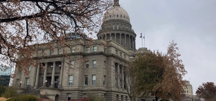 Idaho 50501 y ACLU organizan la manifestación “Sin Reyes” para promover los valores constitucionales