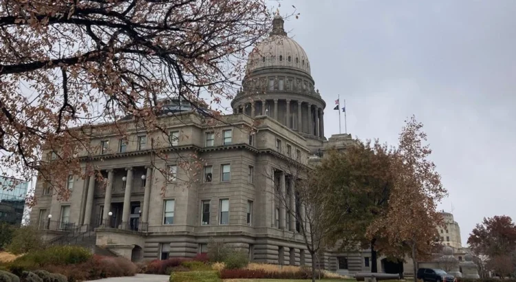 Idaho 50501 y ACLU organizan la manifestación “Sin Reyes” para promover los valores constitucionales Idaho 50501 y ACLU organizan la manifestación “Sin Reyes” para promover los valores constitucionales