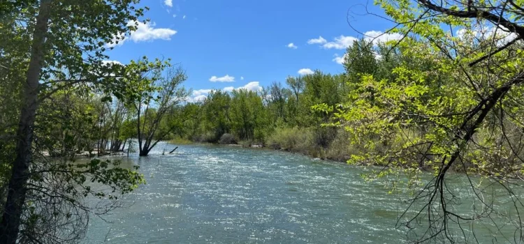 Voluntarios retiraron 1.586 libras de basura del río Boise en 2025