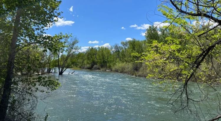 Voluntarios retiraron 1.586 libras de basura del río Boise en 2025