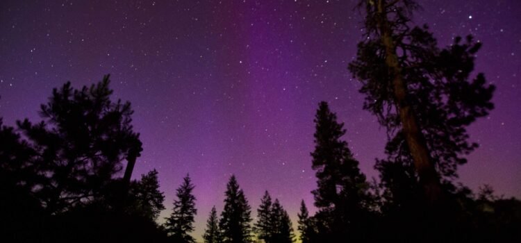 Auroras boreales danzan sobre Boise