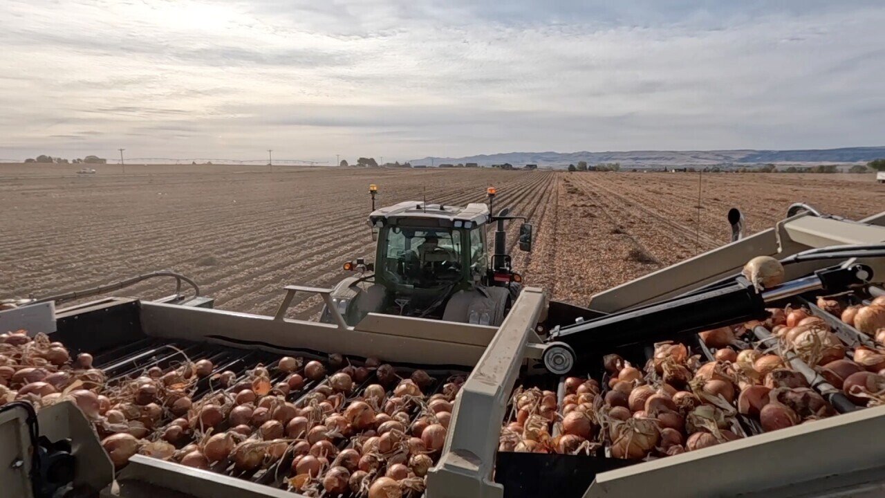 Grupo agrícola y empresas de Idaho publican estudio sobre el impacto en la fuerza laboral inmigrante