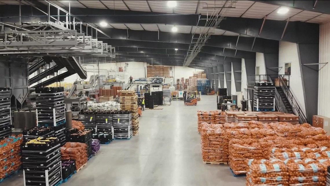 Owyhee Produce de Idaho detiene algunos envíos de cebolla en medio de una ola de frío en el sureste de EE. UU.