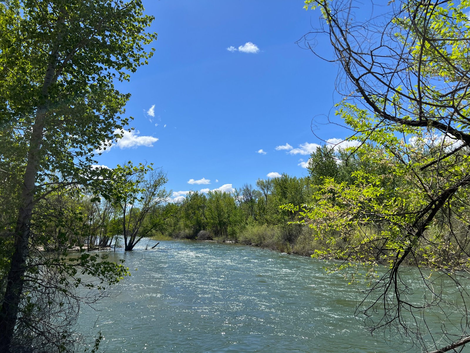 El río Boise inaugurará la temporada de descenso en balsa el sábado 20 de junio.